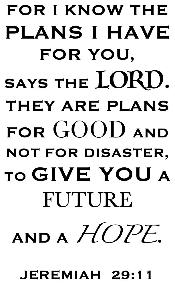 JEREMIAH 29:11 T-shirt